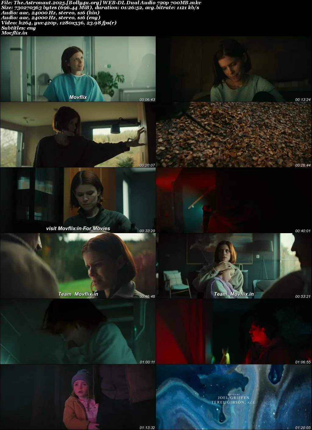 The Astronaut 2025 WEB-DL Hindi Dual Audio ORG Full Movie Download 1080p  720p  480p