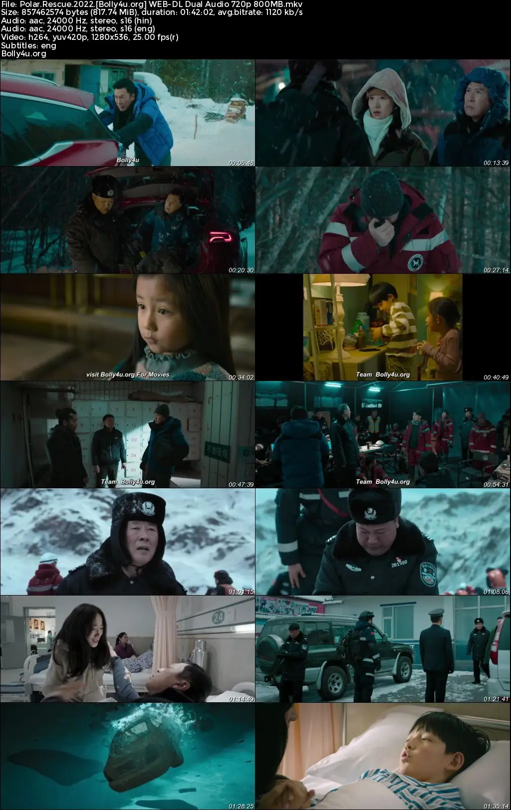 Polar Rescue 2022 WEB-DL Hindi Dual Audio ORG Full Movie Download 1080p  720p  480p