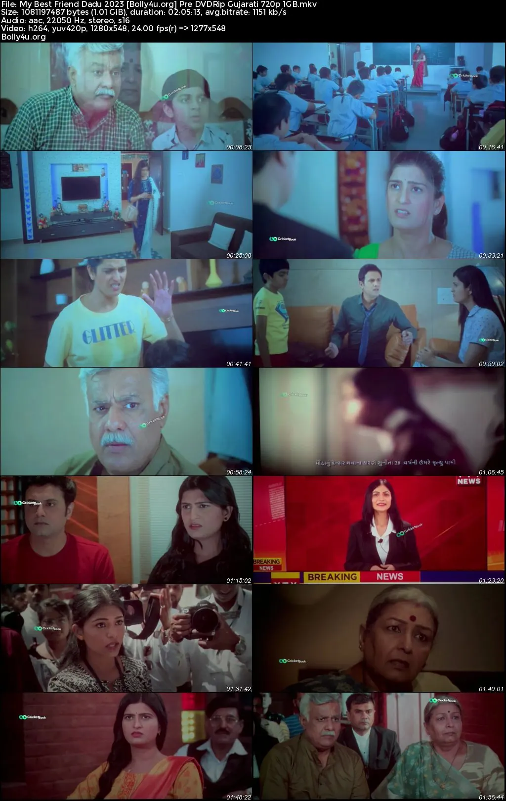 My Best Friend Dadu 2023 Pre DVDRip Gujarati Full Movie Download 720p  480p