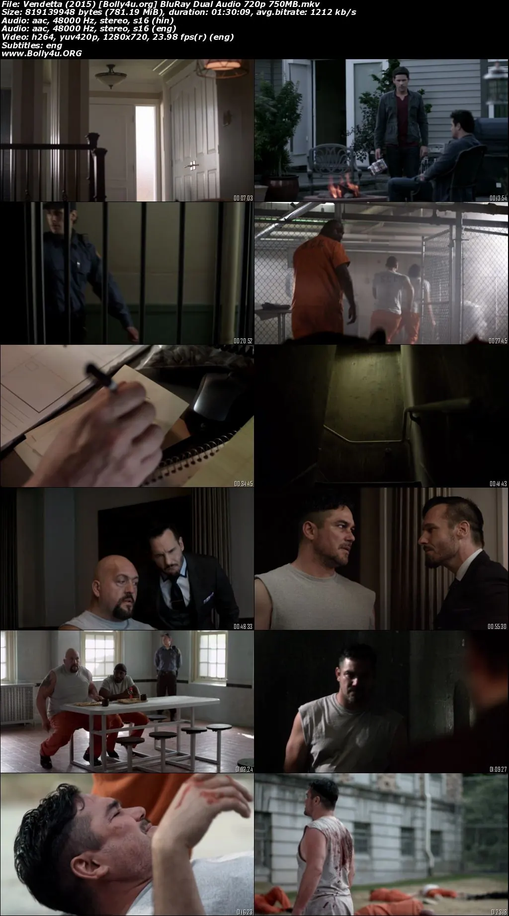 Vendetta 2015 BRRip Hindi Dual Audio Full Movie Download 720p  480p