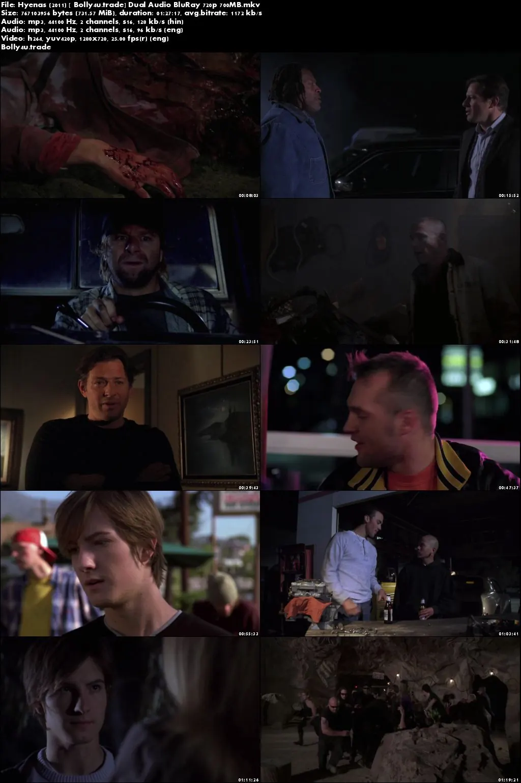 Hyenas 2011 BluRay 700MB Hindi Dual Audio 720p Download