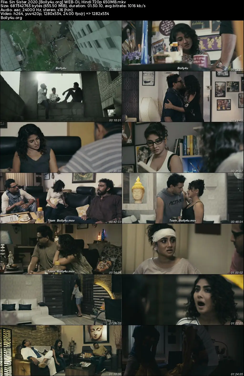 Sin Sister 2020 WEB-DL Hindi Full Movie Download 1080p  720p  480p