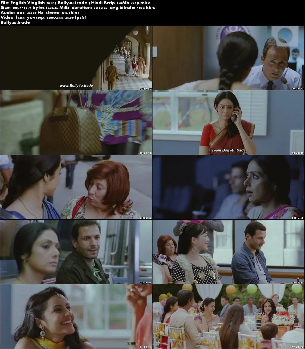 English Vinglish 2012 BluRay 400MB Full Hindi Movie Download 480p