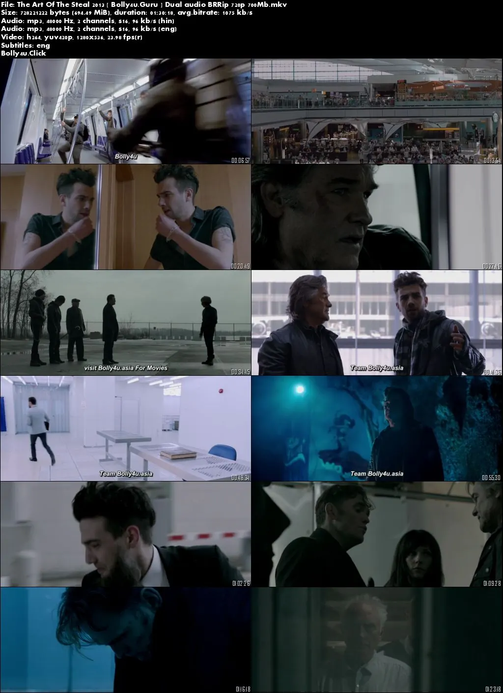 The Art Of The Steal 2013 BRRip 300MB Hindi Dual Audio 480p Download The Art Of The Steal 2013 BRRip 300MB Hindi Dual Audio 480p Download