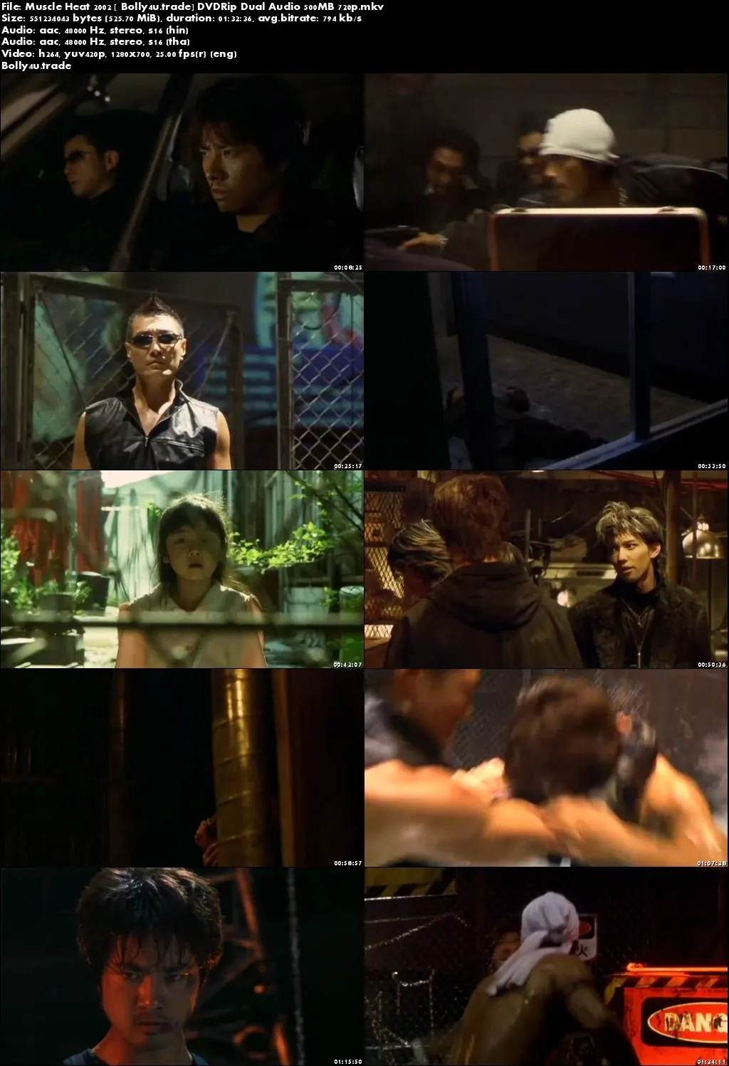 Muscle Heat 2002 DVDRip 500Mb Hindi Dual Audio 720p Download