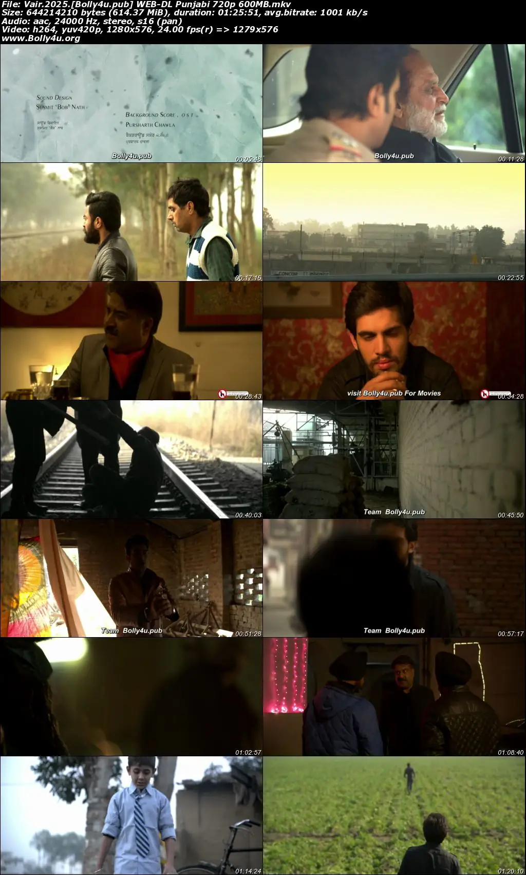 Vair 2025 WEB-DL Punjabi Full Movie Download 1080p  720p  480p