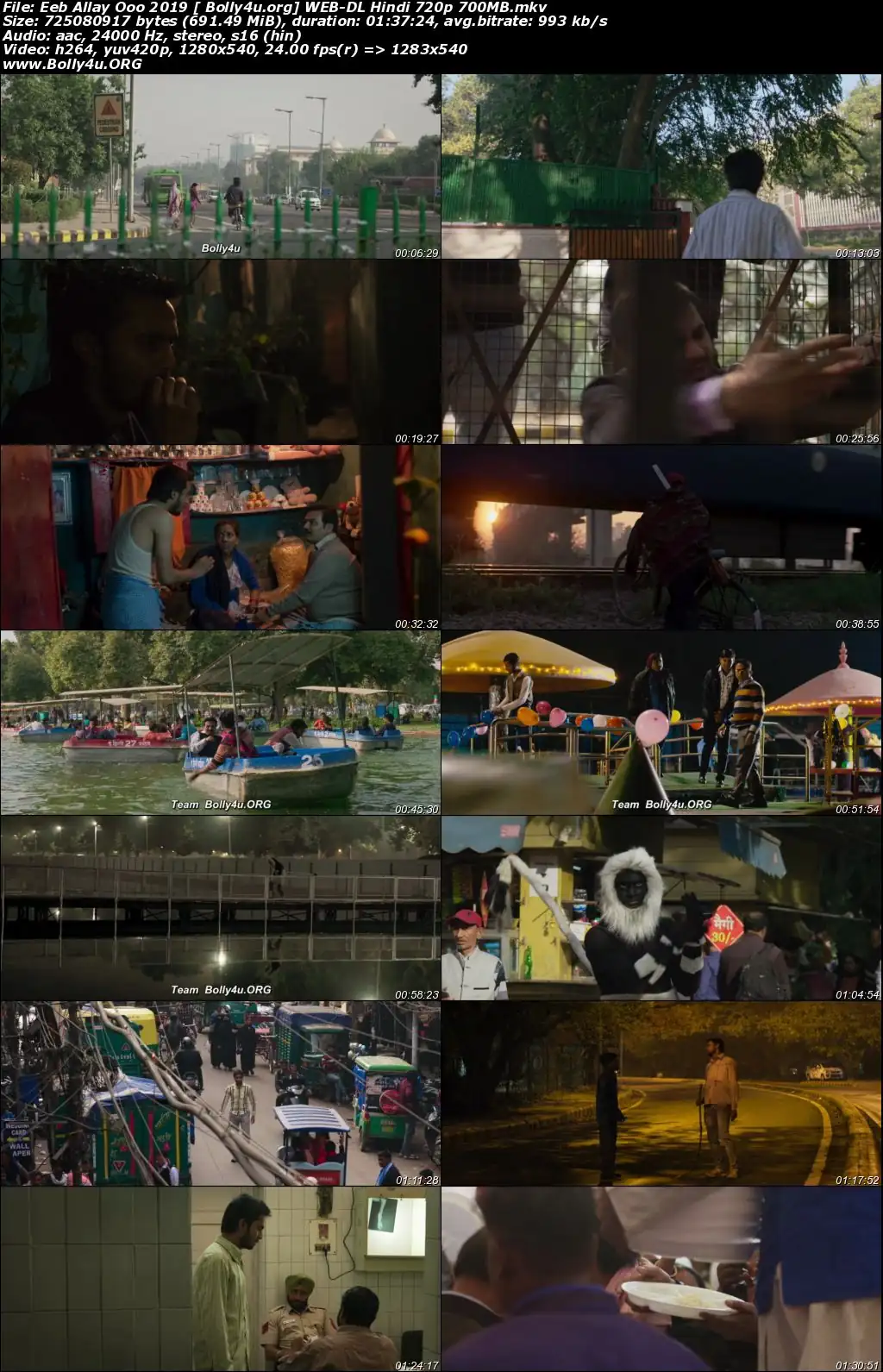 Eeb Allay Ooo 2019 WEB-DL 300Mb Hindi 480p Download