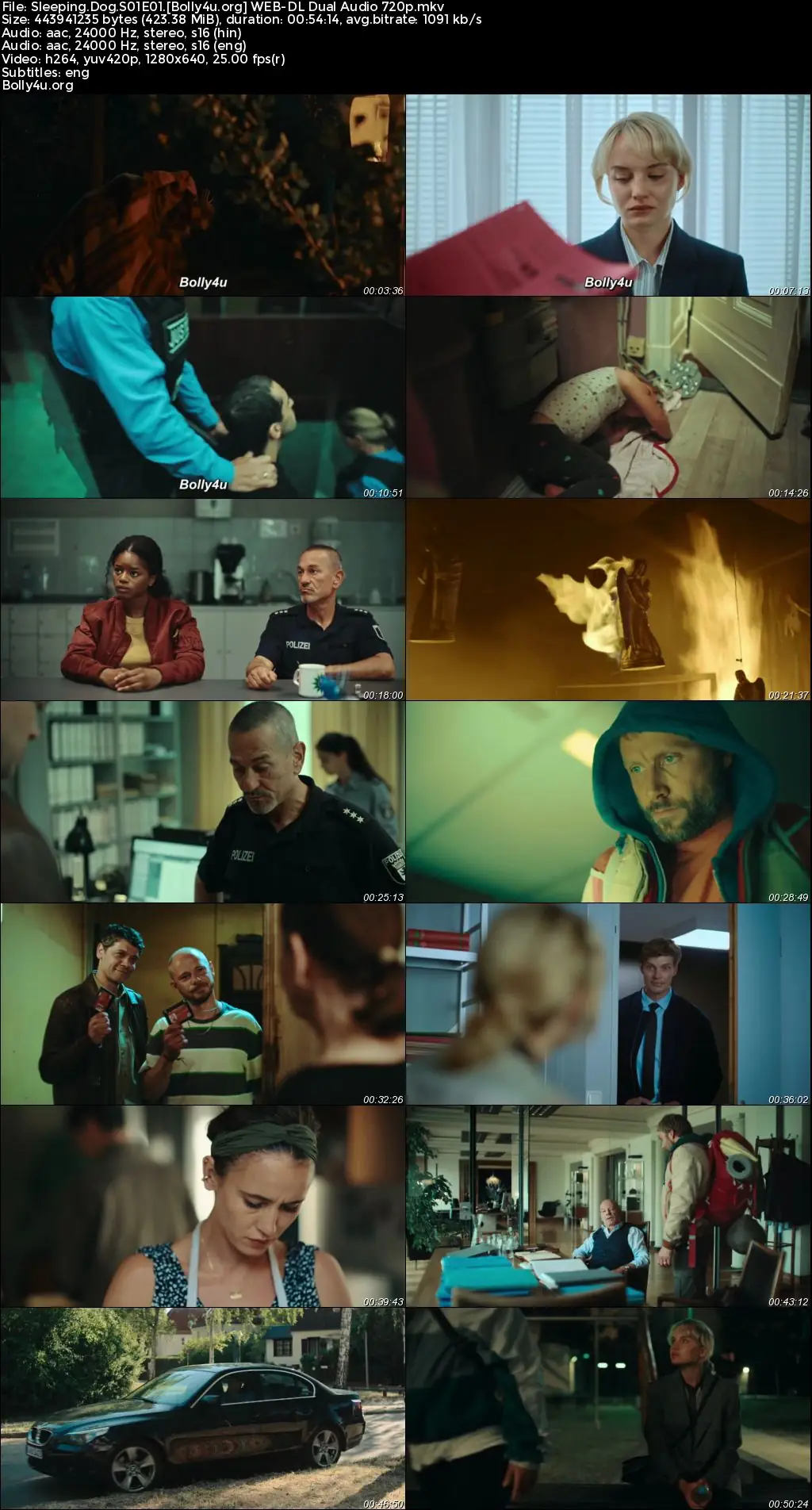 Sleeping Dog 2023 WEB-DL Hindi Dual Audio ORG S01 Complete Download 720p  480p