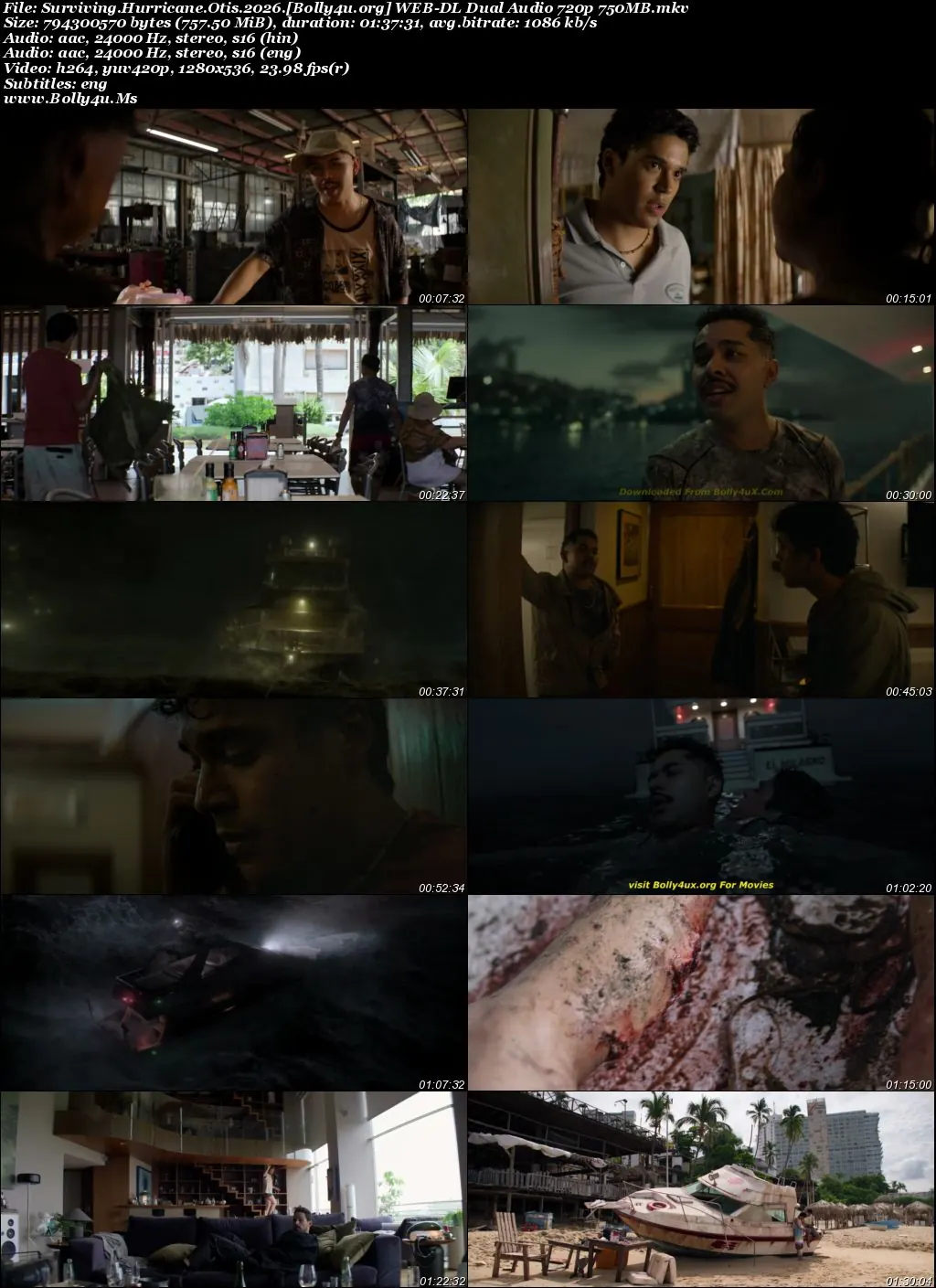 Surviving Hurricane Otis 2026 WEB-DL Hindi Dual Audio ORG Full Movie Download 1080p  720p  480p