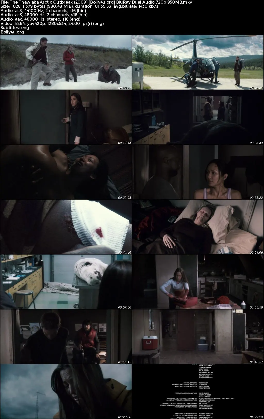 The Thaw 2009 BluRay Hindi Dual Audio Full Movie Download 720p  480p