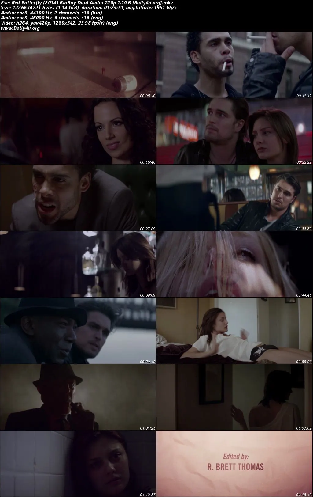 Red Butterfly 2014 BluRay Hindi Dual Audio Full Movie Download 720p  480p