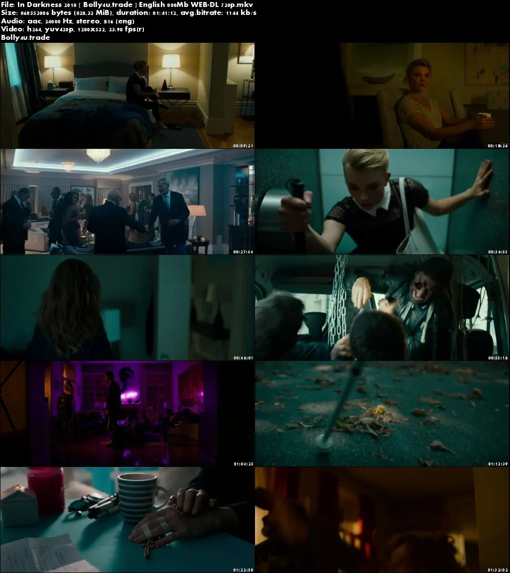 In Darkness 2018 WEB-DL 300MB English 480p Download