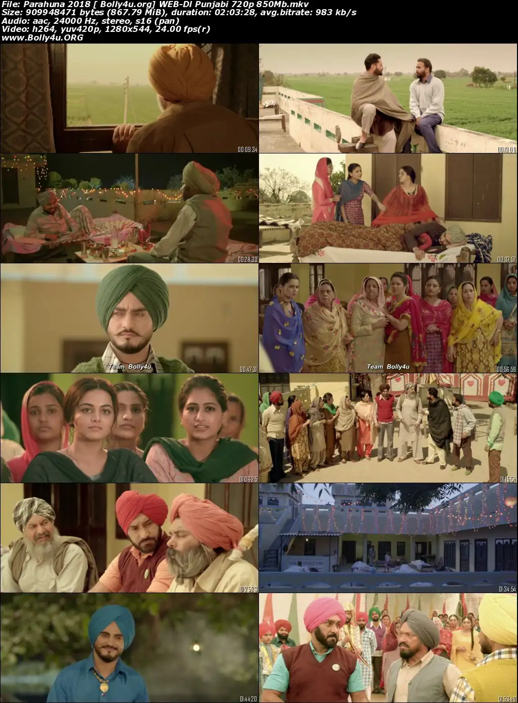 Parahuna 2018 WEB-DL 350Mb Punjabi Movie Download 480p