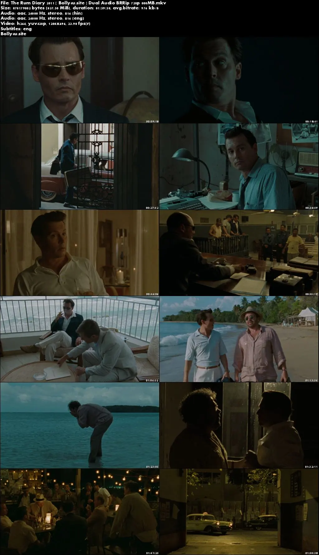 The Rum Diary 2011 BRRip 800Mb Hindi Dual Audio 720p Download