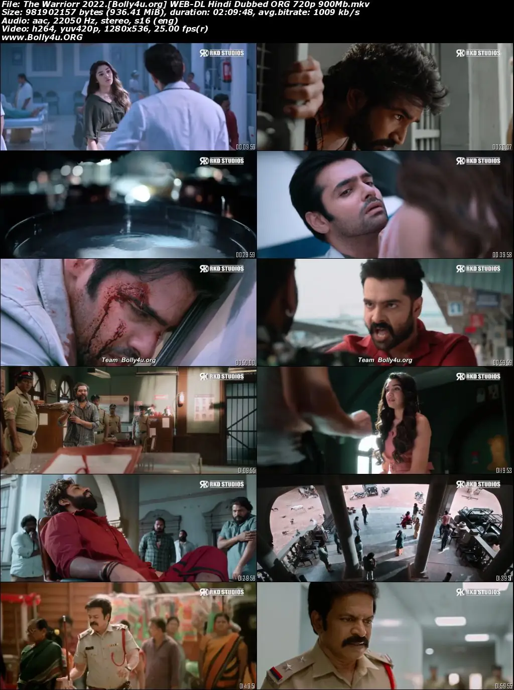 The Warriorr 2022 WEB-DL Hindi Dubbed ORG Full Movie Download 1080p  720p  480p