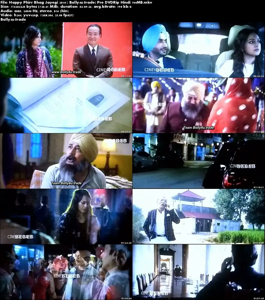 Happy Phirr Bhag Jayegi 2018 Pre DVDRip 350MB Full Hindi Movie Download 480p
