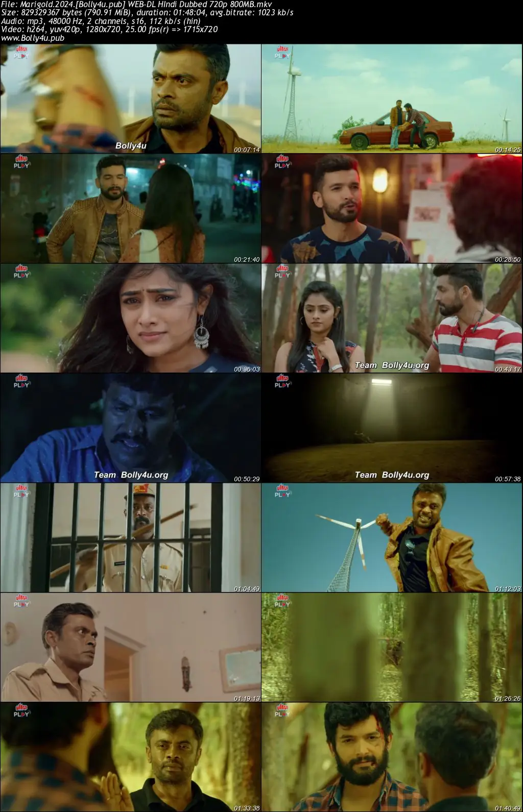 Marigold 2024 WEB-DL Hindi Dubbed ORG Full Movie Download 1080p  720p  480p