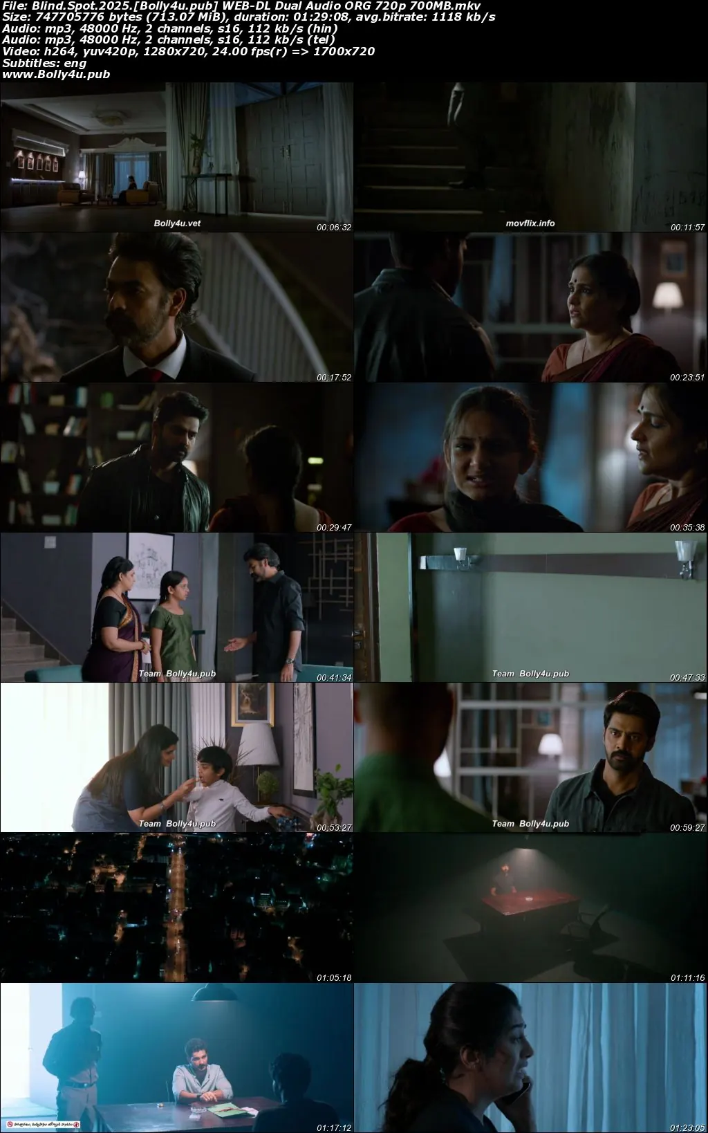 Blind Spot 2025 WEB-DL Hindi Dual Audio ORG Full Movie Download 1080p  720p  480p