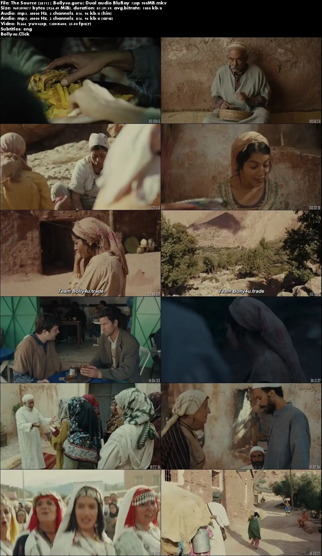 The Source 2011 BluRay 900Mb Hindi Dual Audio 720p Download