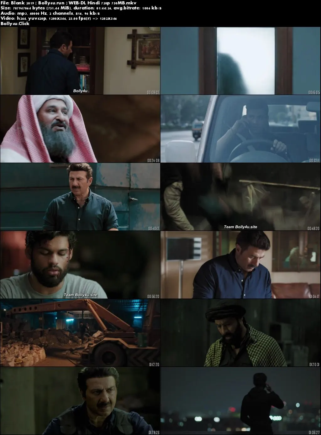 Blank 2019 WEB-DL 750MB Full Hindi Movie Download 720p
