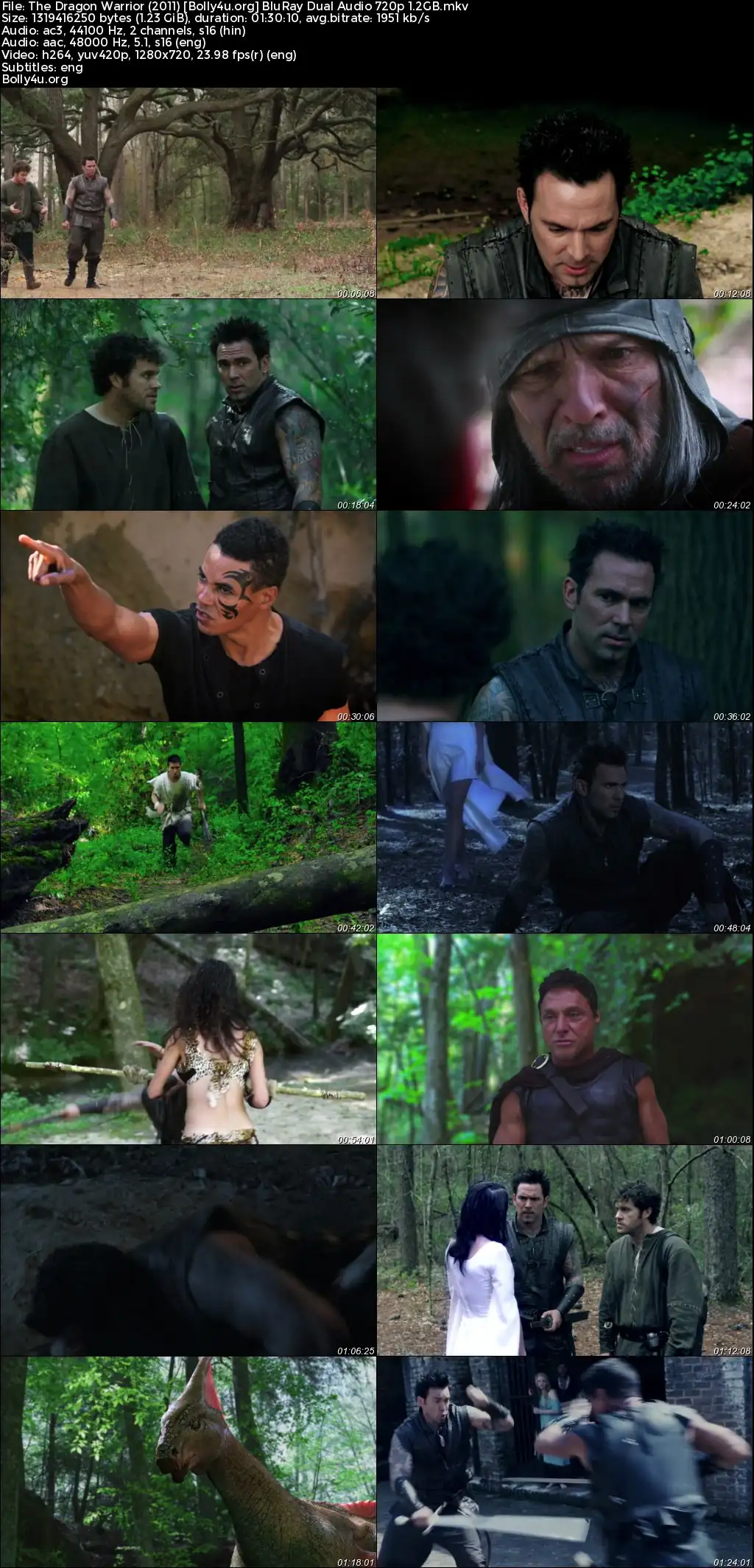 The Dragon Warrior 2011 BluRay Hindi Dual Audio Full Movie Download 720p 480p The Dragon Warrior 2011 BluRay Hindi Dual Audio Full Movie Download 720p 480p