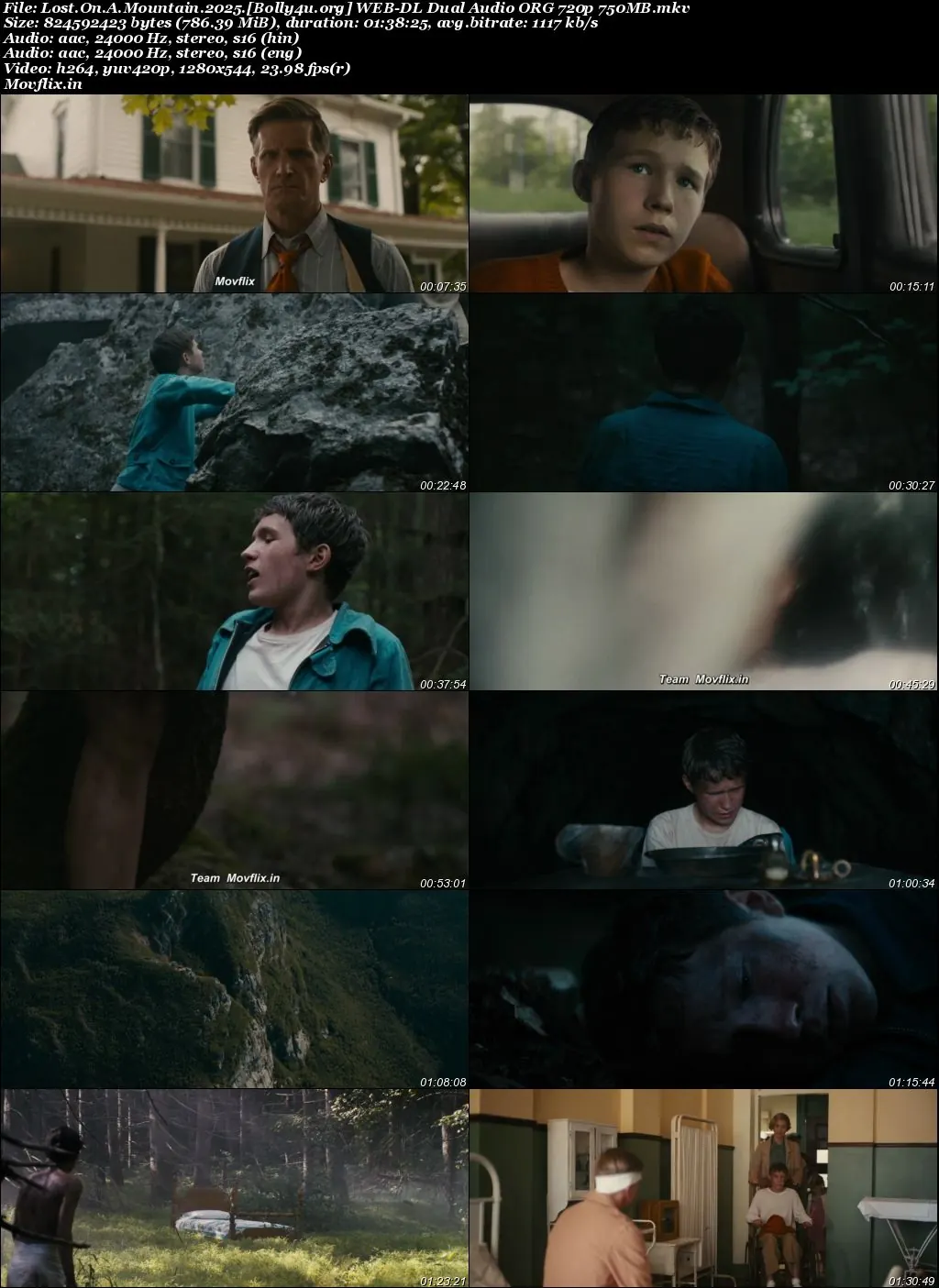 Lost On A Mountain 2025 WEB-DL Hindi Dual Audio ORG Full Movie Download 1080p  720p  480p
