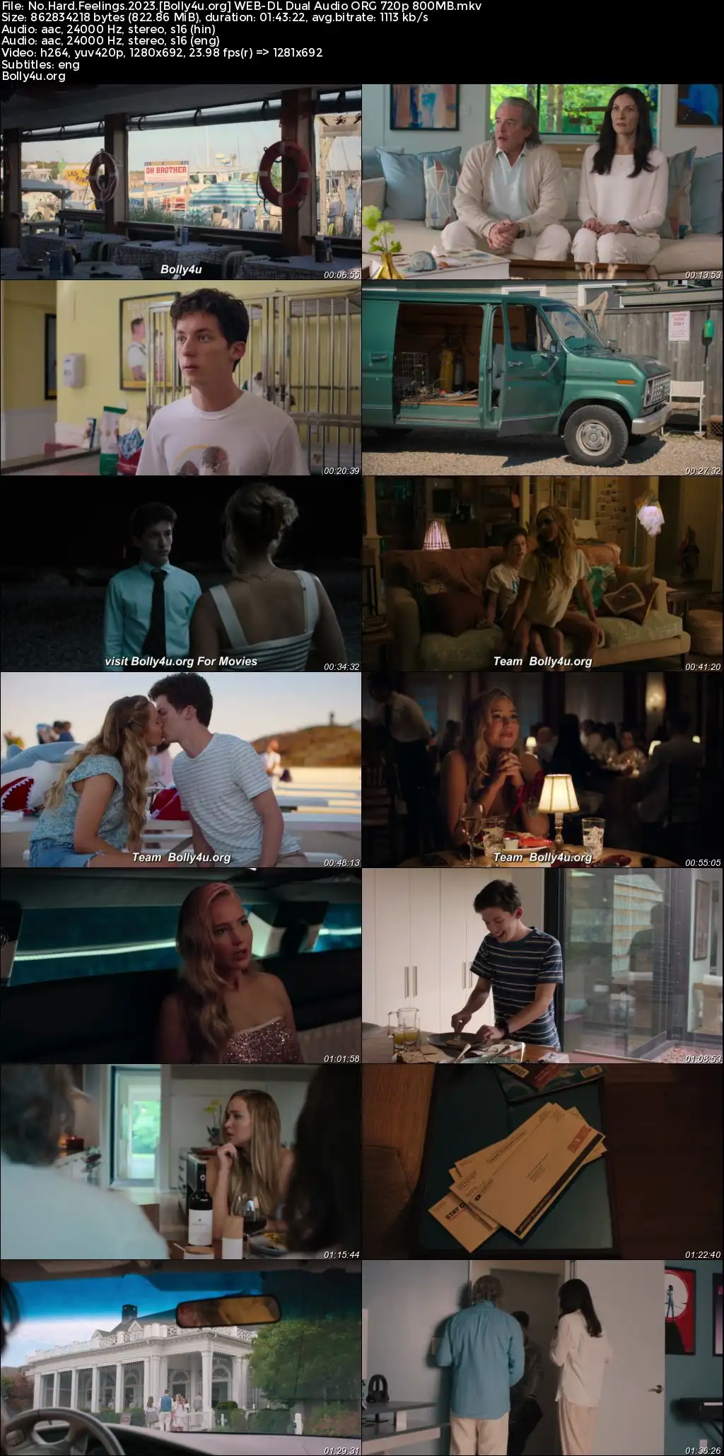 No Hard Feelings 2023 WEB-DL Hindi Dual Audio ORG Full Movie Download 1080p  720p  480p