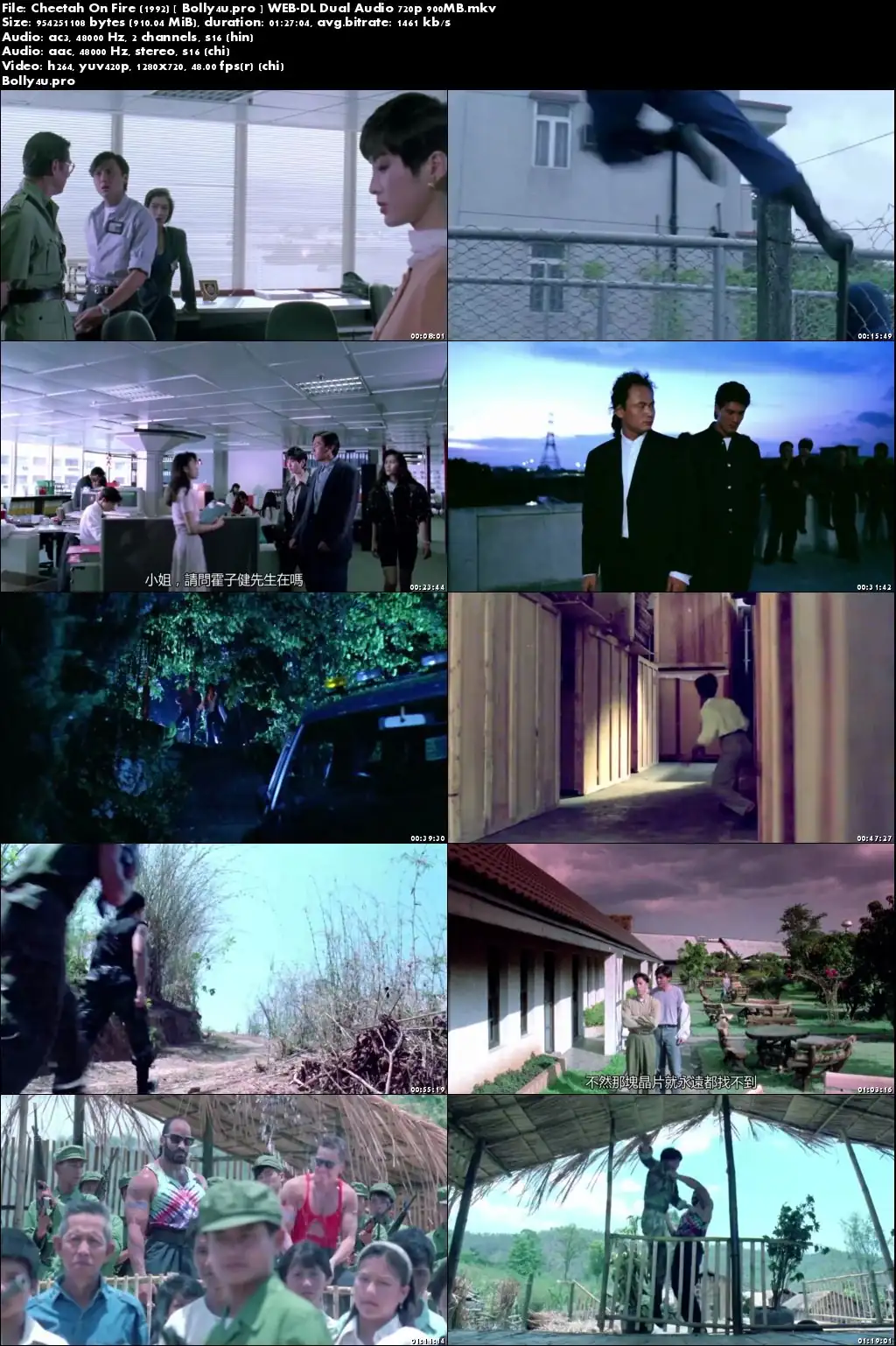 Cheetah On Fire 1992 WEB-DL 900MB Hindi Dual Audio 720p Download