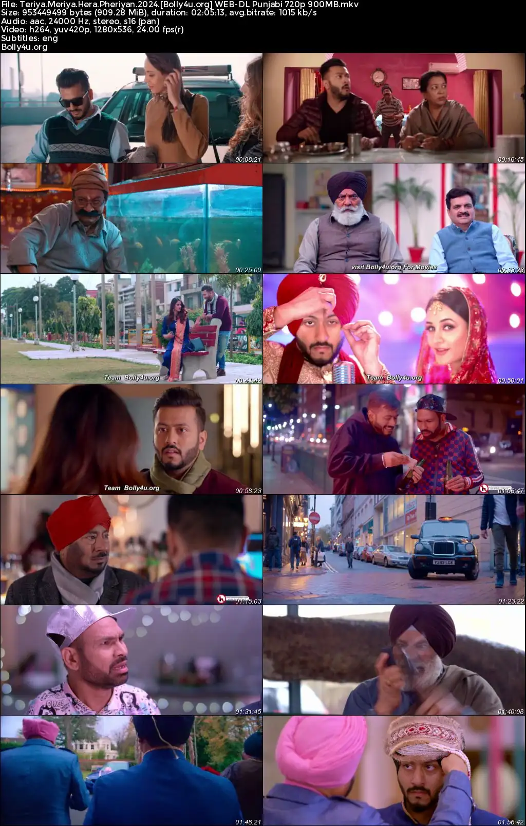 Teriya Meriya Hera Pheriyan 2024 WEB-DL Punjabi Full Movie Download 1080p  720p  480p