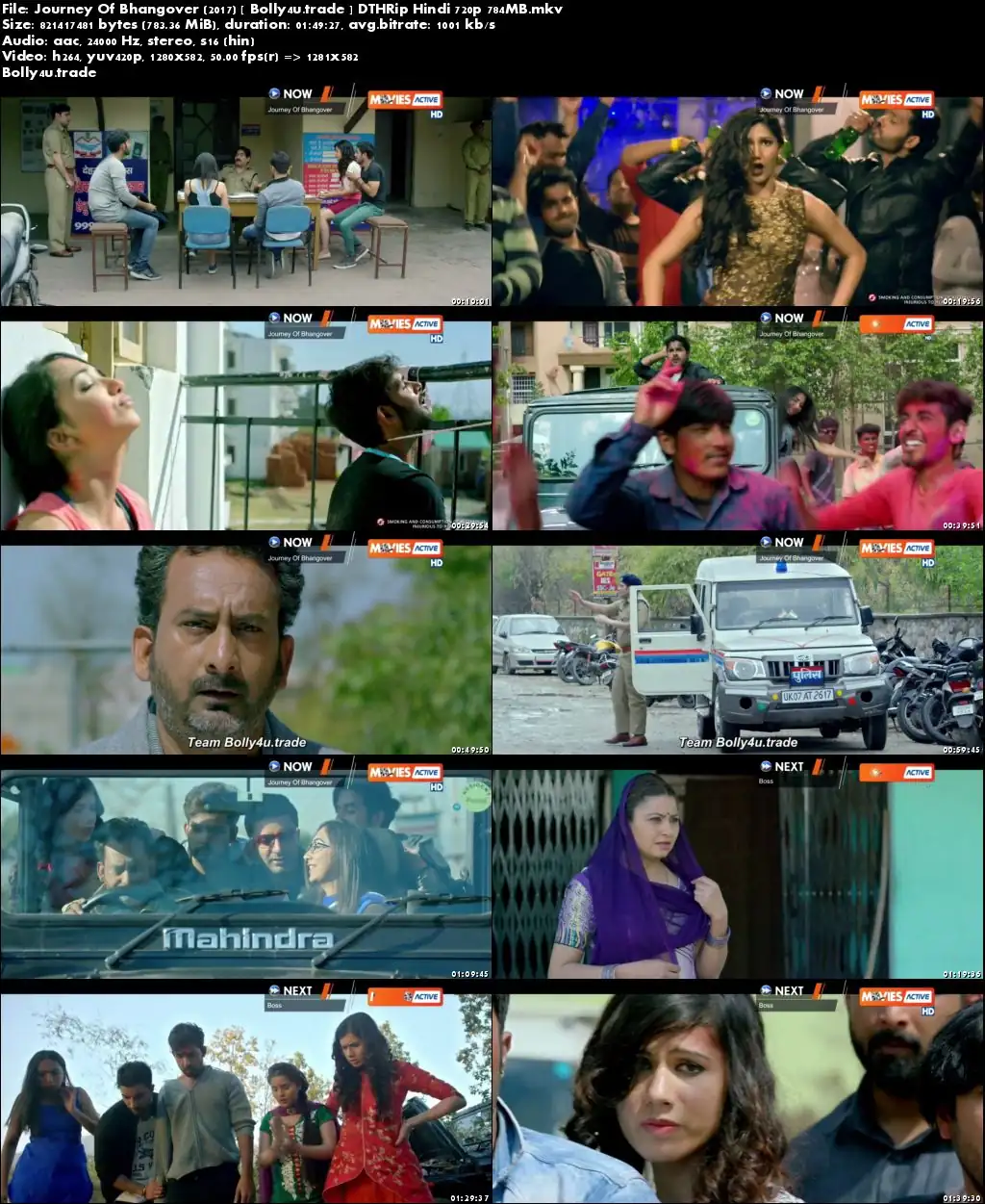 Journey Of Bhangover 2017 DTHRip 350MB Full Hindi Movie Download 480p
