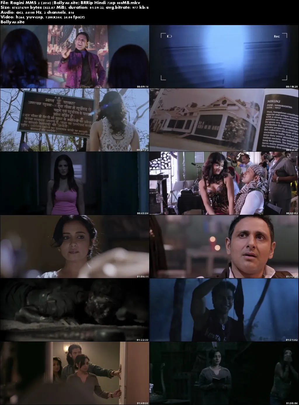 Ragini MMS 2 2014 BRRip 350Mb Hindi 480p Download
