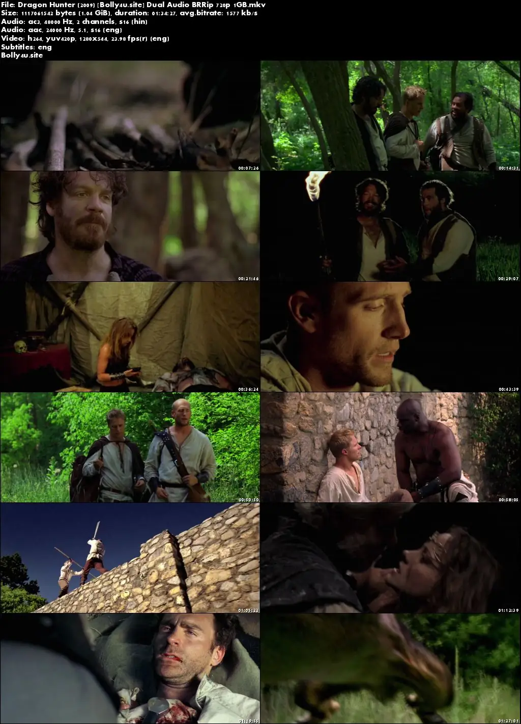 Dragon Hunter 2009 BRRip 1GB Hindi Dual Audio 720p Download