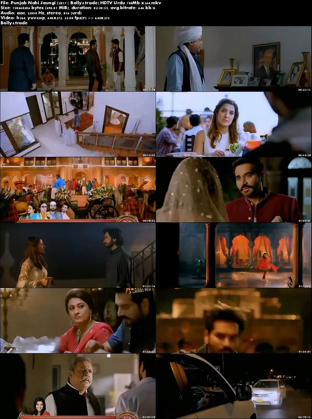 Punjab Nahi Jaungi 2017 HDTV 400MB Pakistani Urdu 480p Download