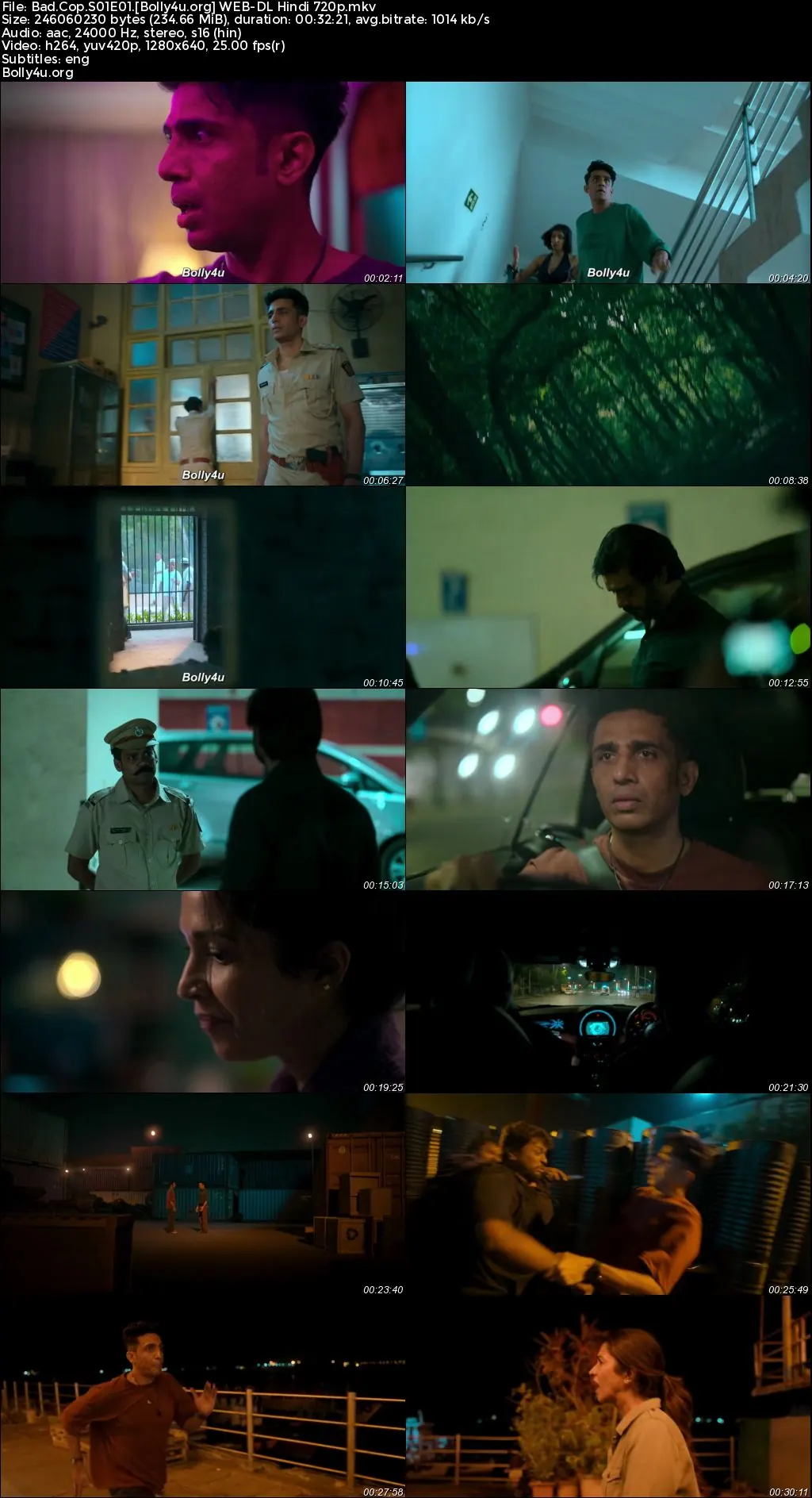 Bad Cop 2024 WEB-DL Hindi S01 Complete Download 720p  480p
