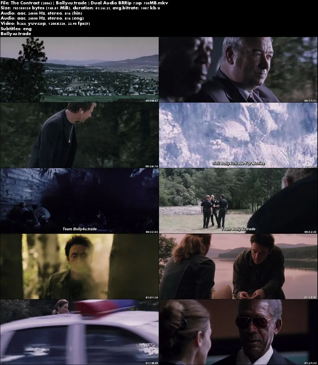 The Contract 2006 BRRip 300Mb Hindi Dual Audio 480p Download