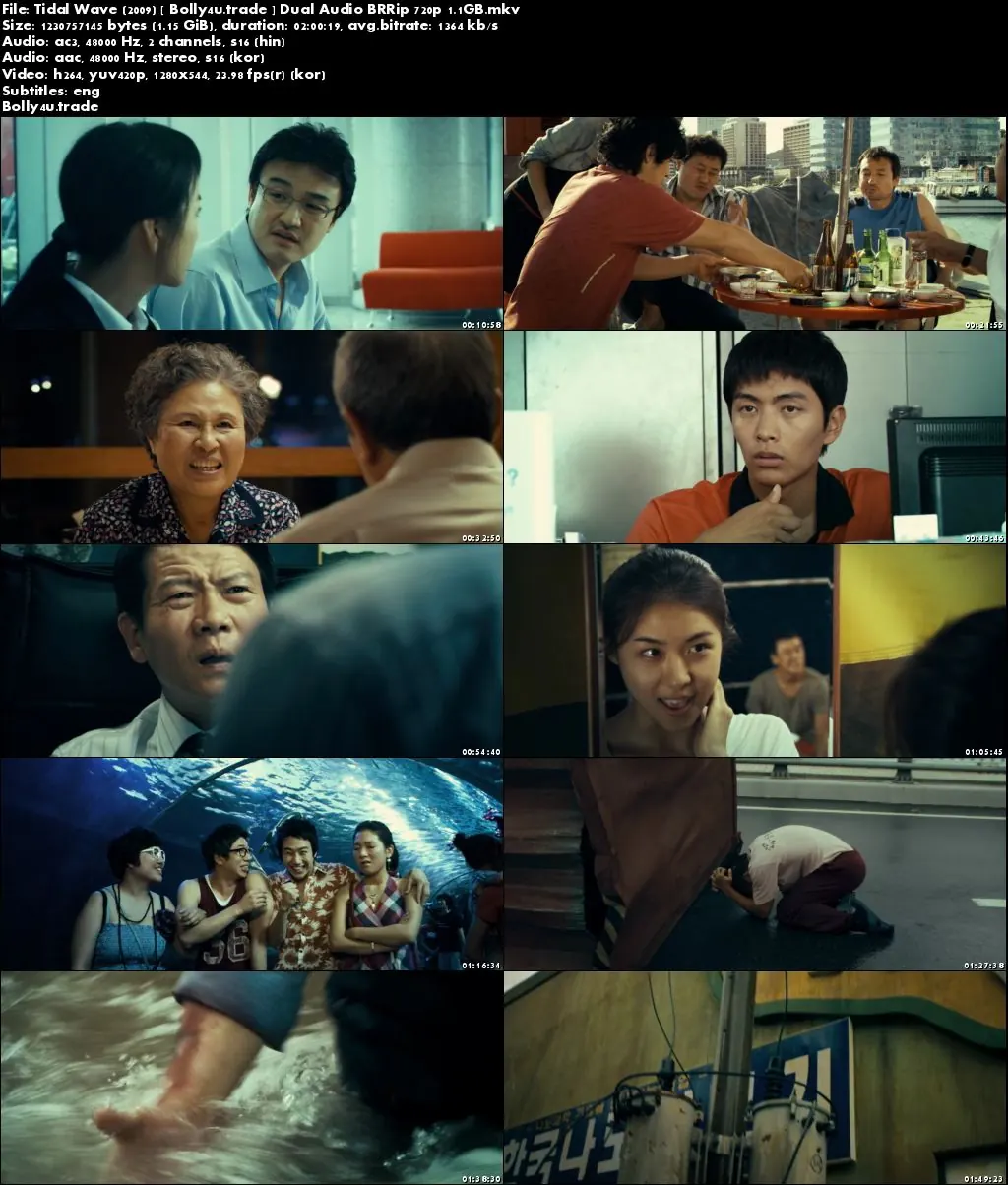 Tidal Wave 2009 BRRip Hindi Dual Audio 720p ESub Download