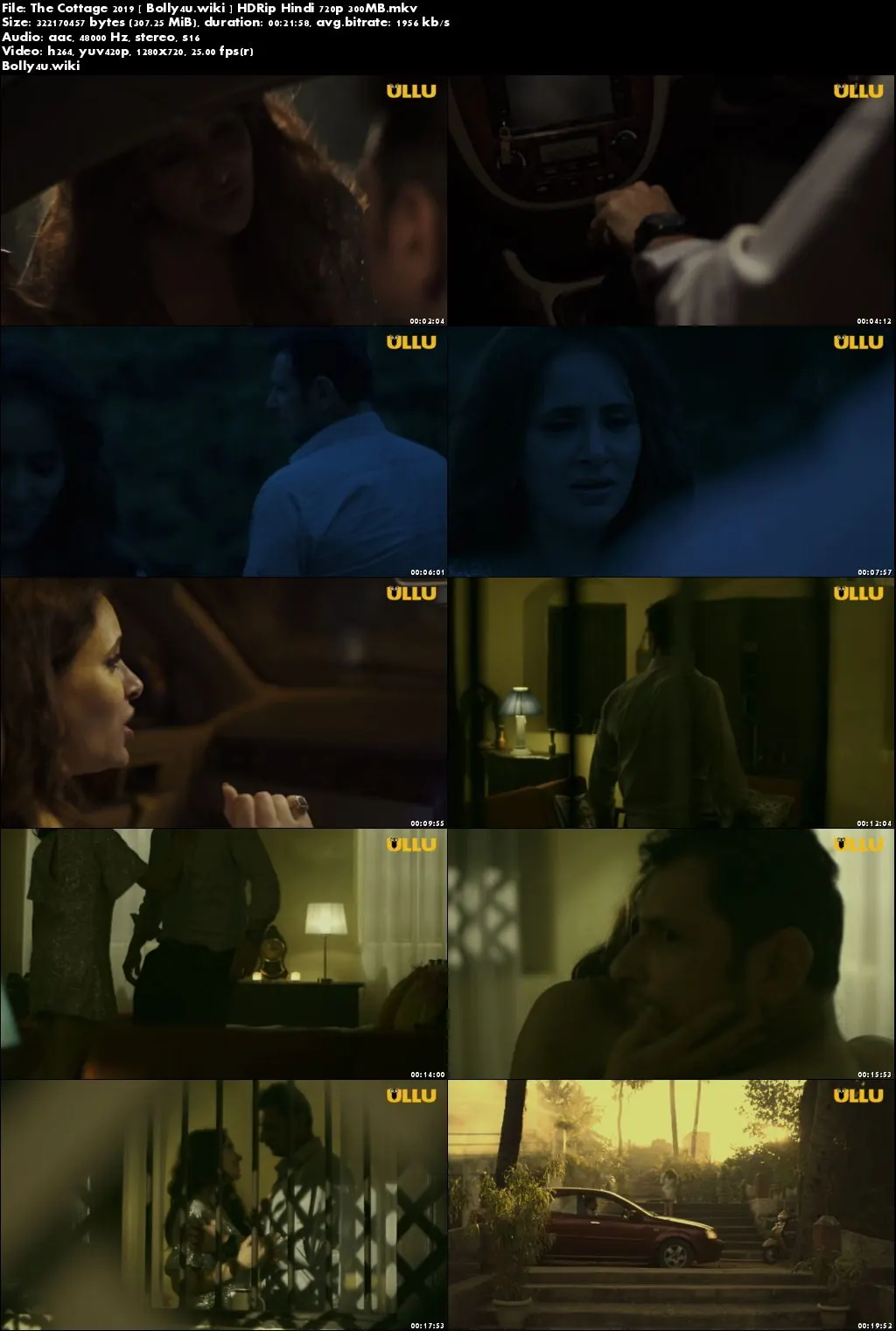 The Cottage 2019 HDRip 300MB Hindi Web Series 720p Download The Cottage 2019 HDRip 300MB Hindi Web Series 720p Download