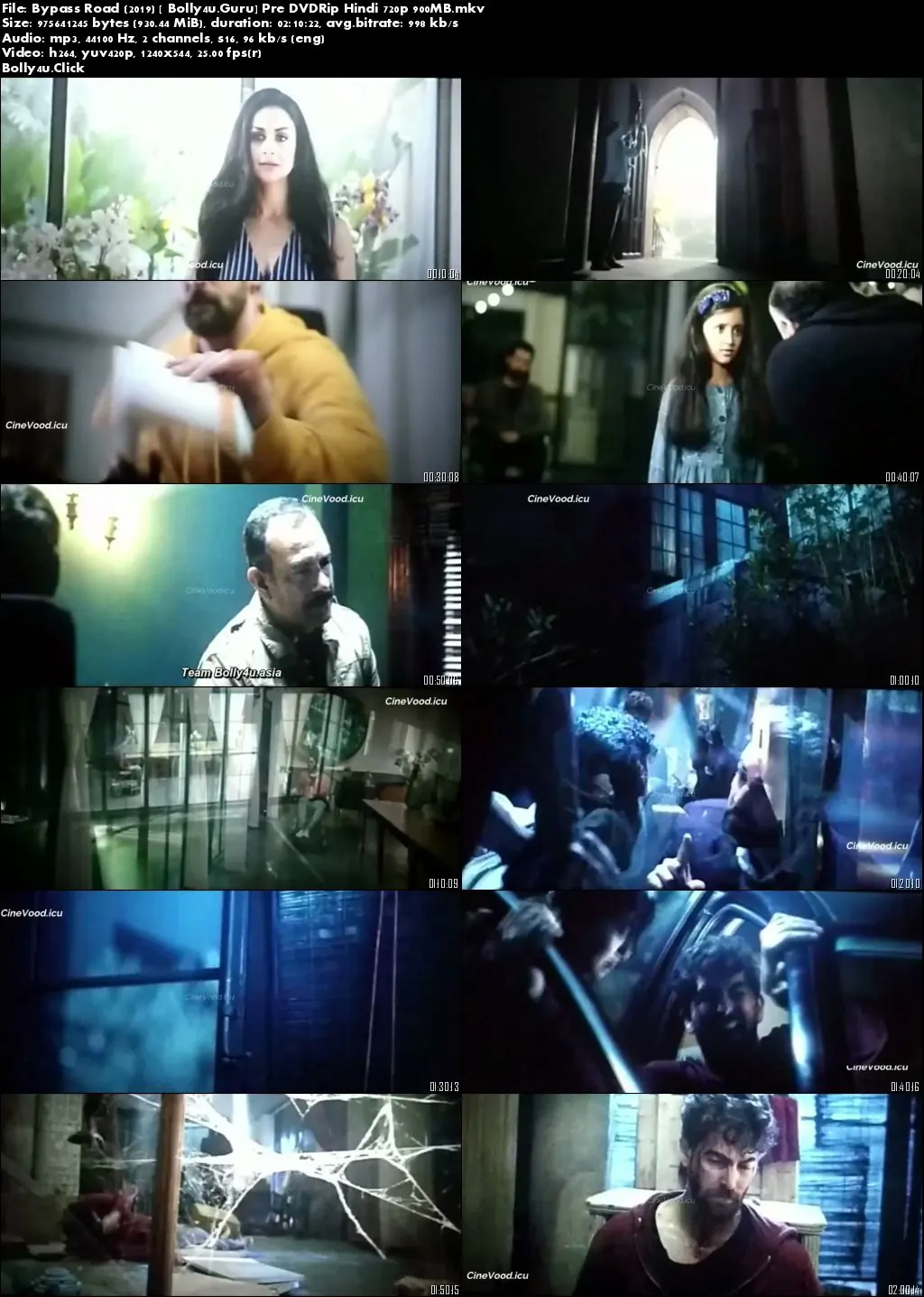 Bypass Road 2019 Pre DVDRip 900Mb Full Hindi Movie Download 720p