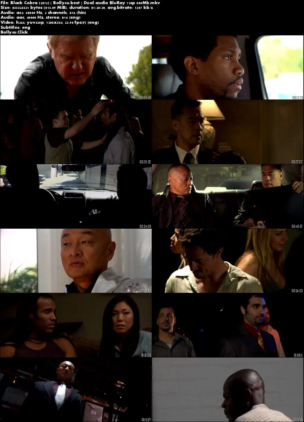 Black Cobra 2012 BluRay 800MB Hindi Dual Audio 720p Download