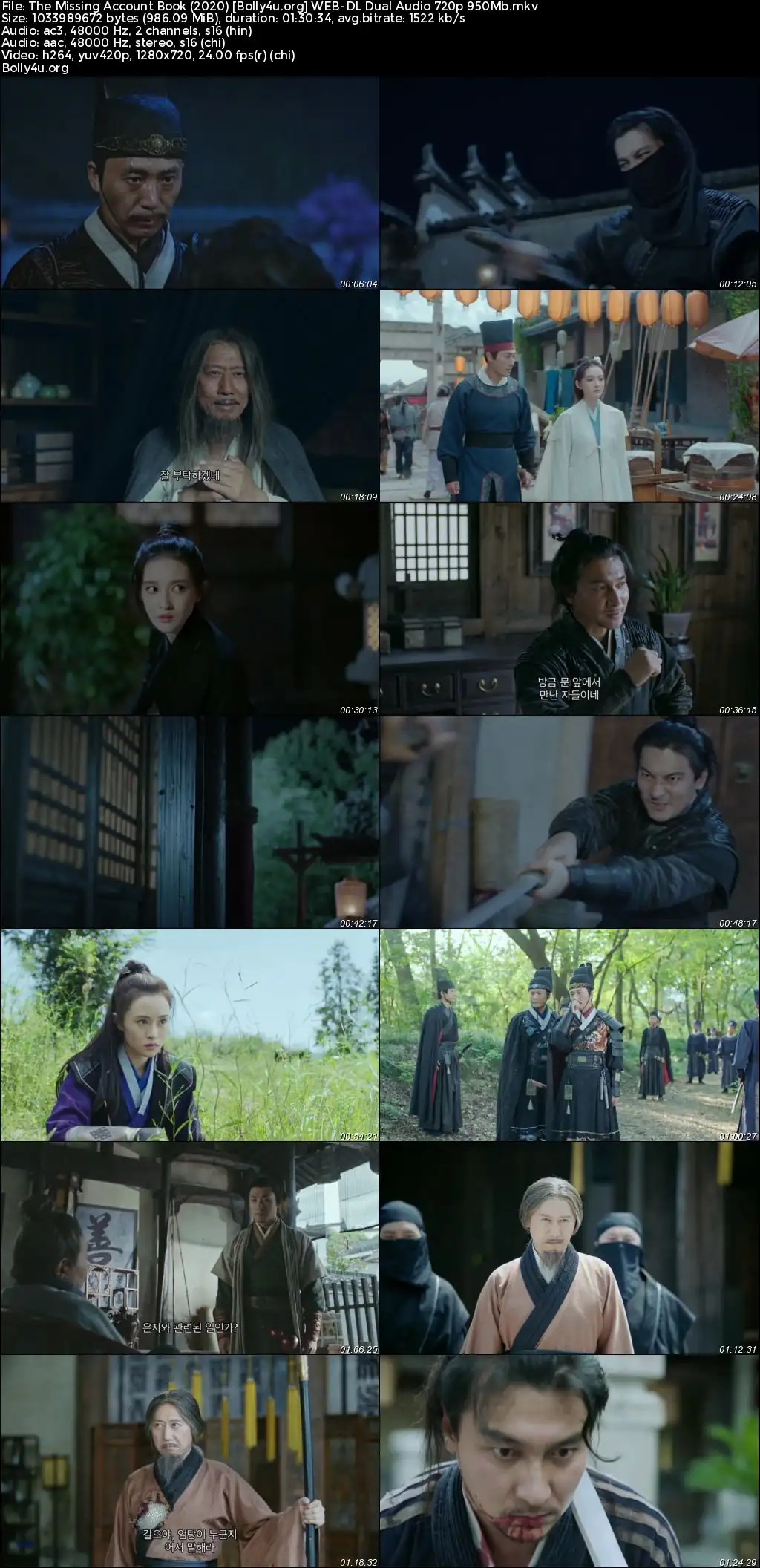 The Missing Account Book 2020 WEB-DL Hindi Dual Audio Full Movie Download 720p  480p
