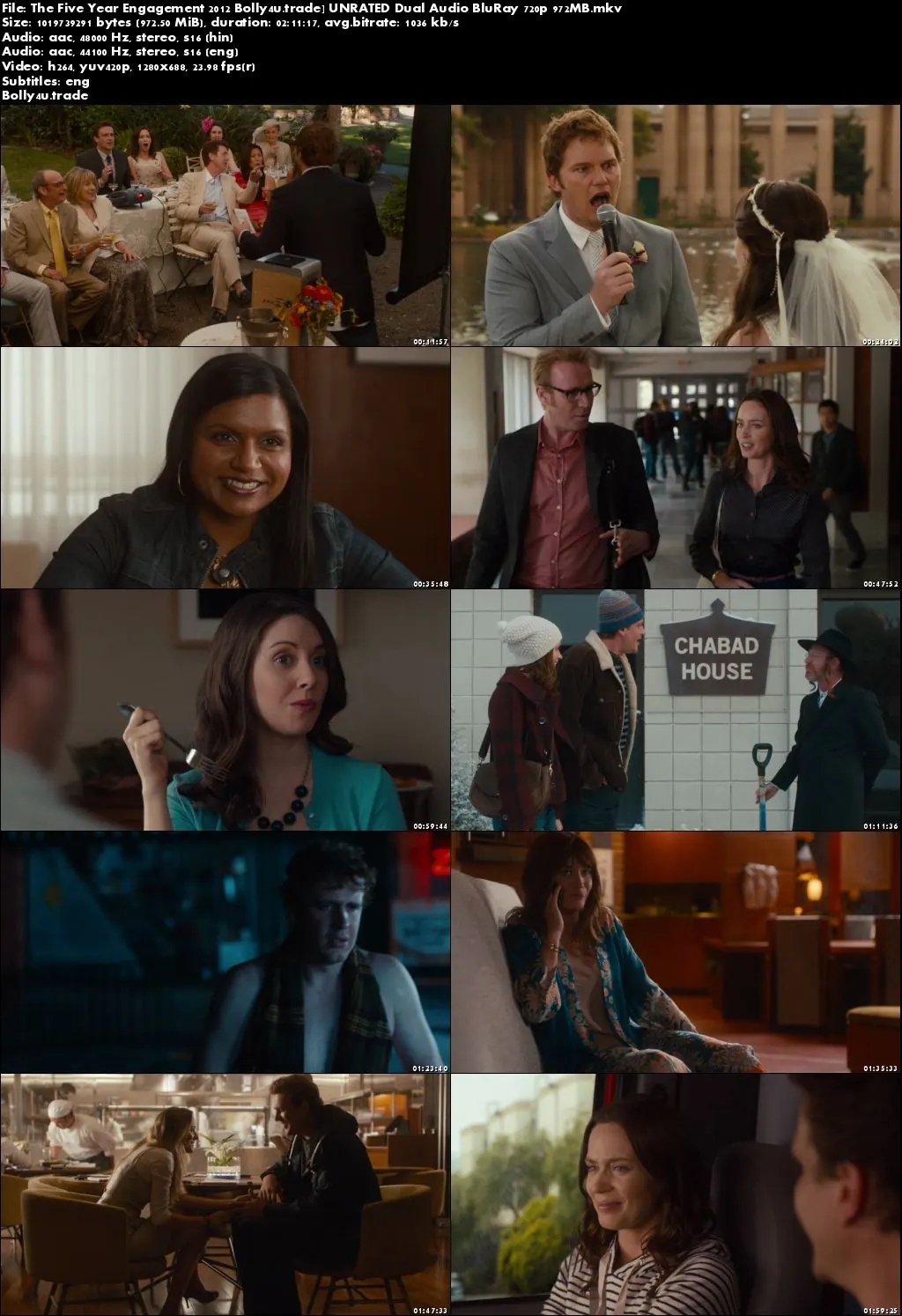 The Five Year Engagement 2012 BRRip 400MB UNRATED Hindi Dual Audio 480p Download