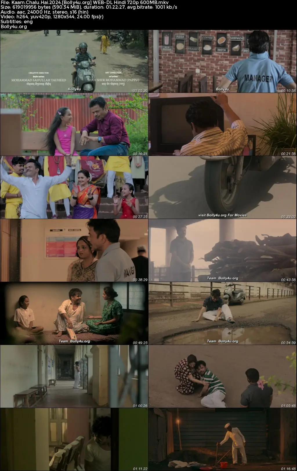 Kaam Chalu Hai 2024 WEB-DL Hindi Full Movie Download 1080p  720p  480p