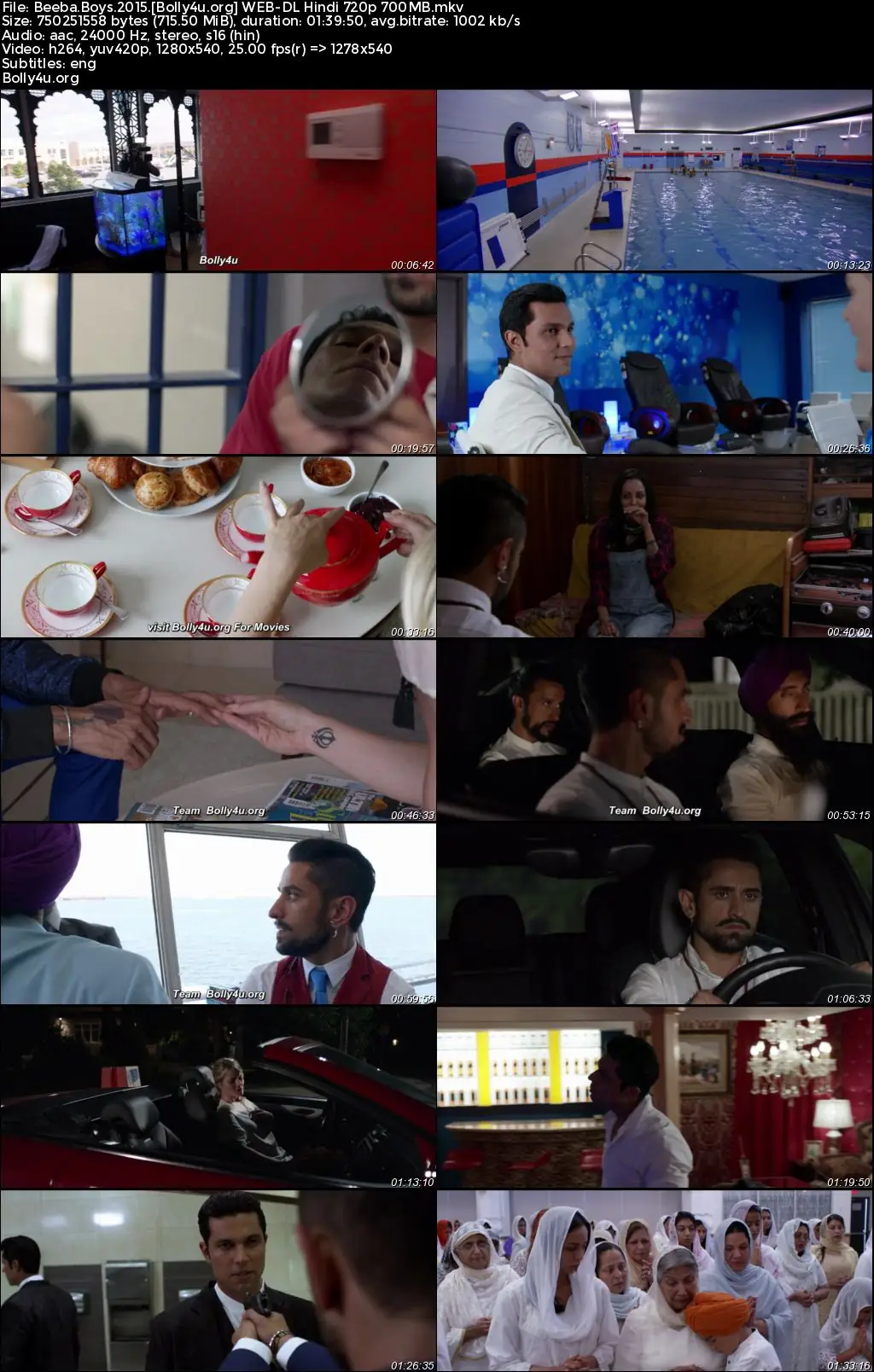 Beeba Boys 2015 WEB-DL Hindi Full Movie Download 1080p  720p  480p