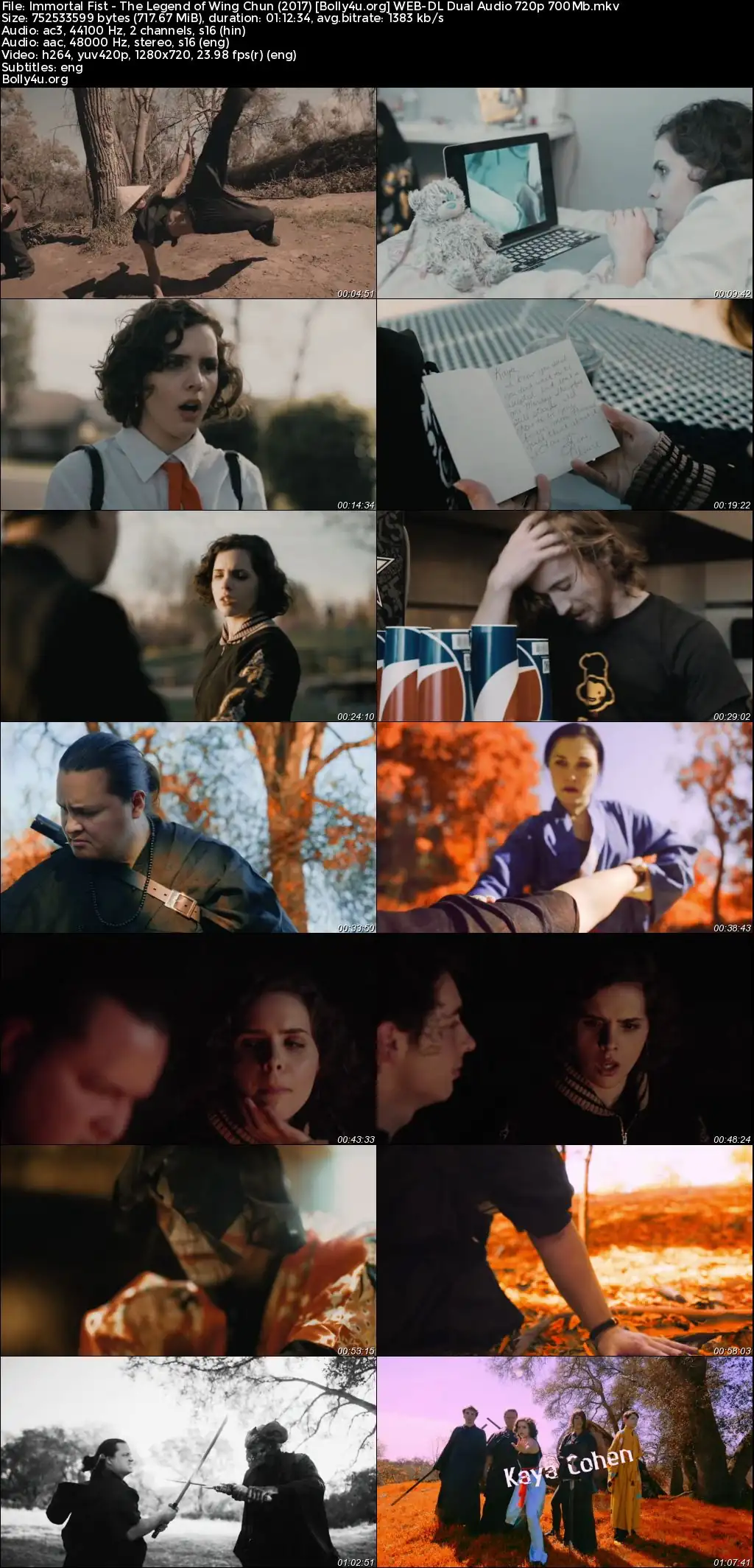 Immortal Fist The Legend of Wing Chun 2017 WEB-DL Hindi Dual Audio Full Movie Download 720p  480p