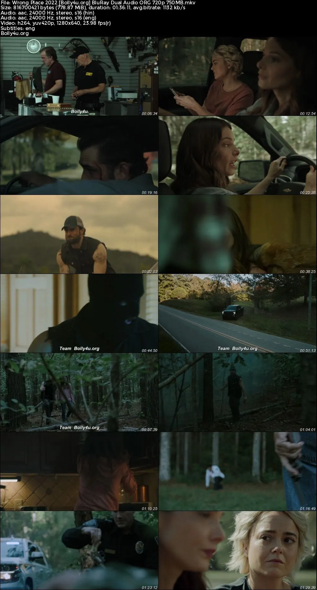 Wrong Place 2022 BluRay Hindi Dual Audio ORG Full Movie Download 1080p  720p  480p