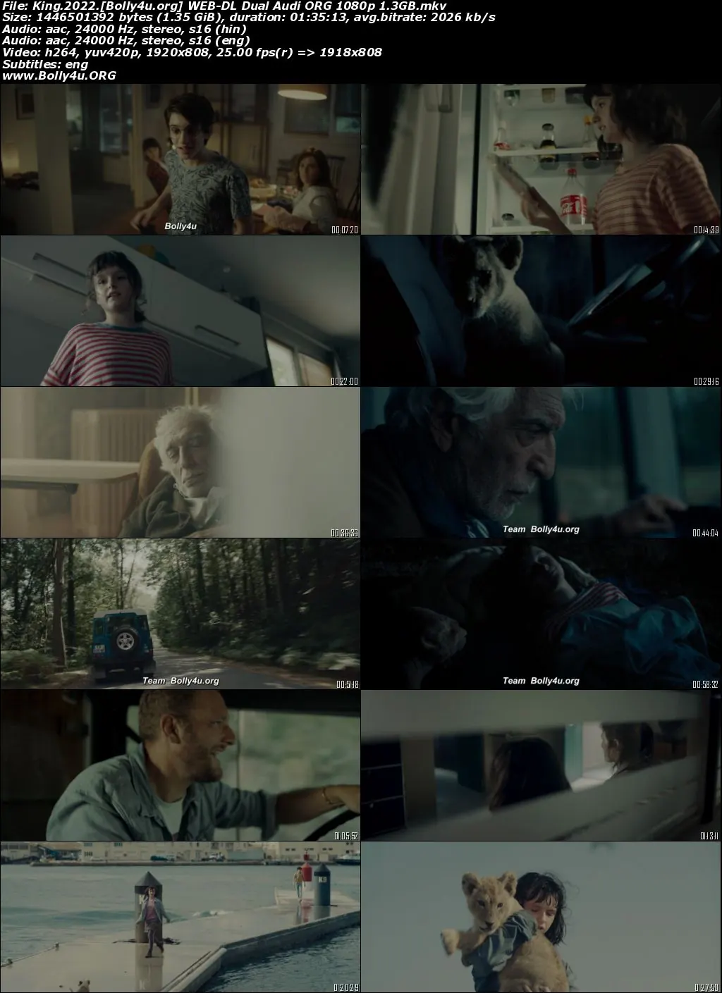 King 2022 WEB-DL Hindi Dual Audio ORG Full Movie Download 1080p  720p  480p