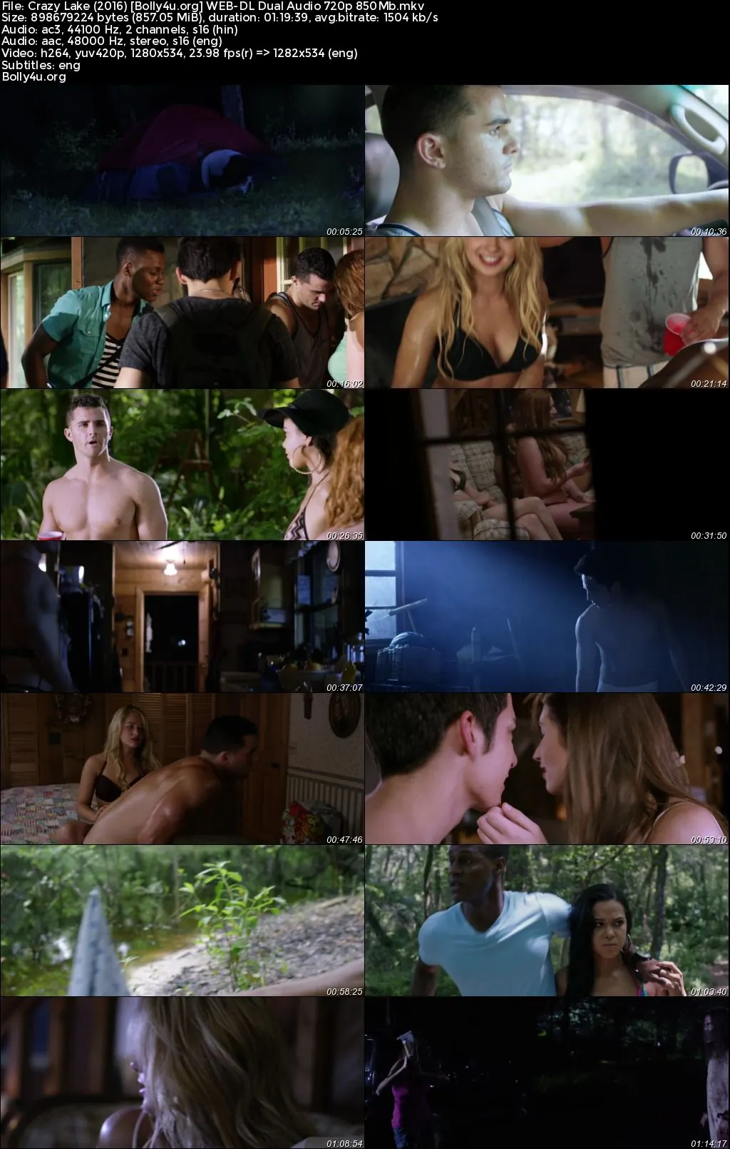 Crazy Lake 2016 WEB-DL Hindi Dual Audio Full Movie Download 720p  480p