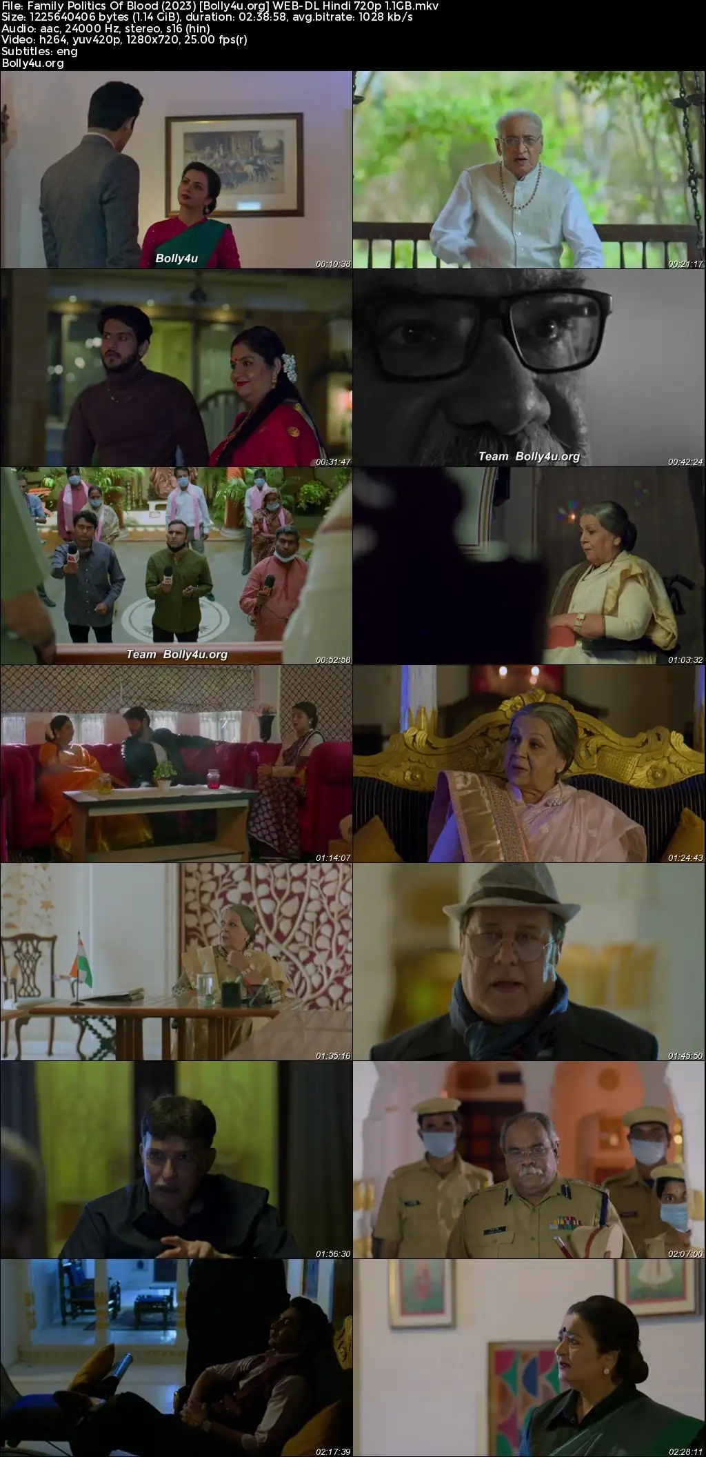 Family Politics Of Blood 2023 WEB-DL Hindi Full Movie Download 1080p  720p  480p
