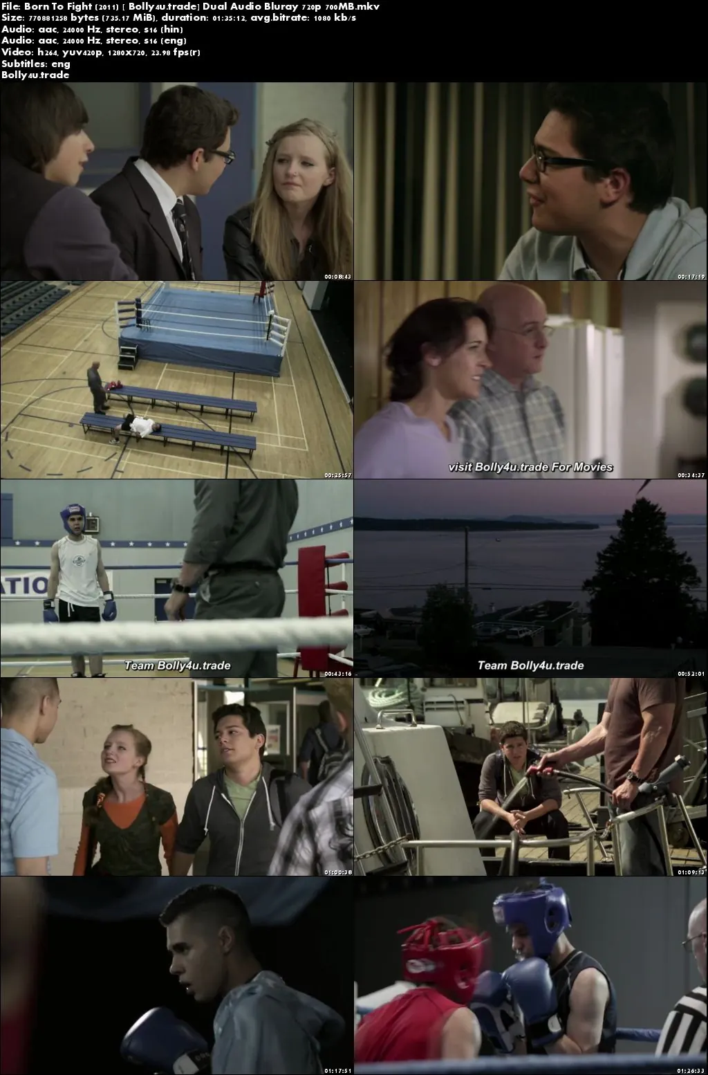 Born To Fight 2011 BluRay 700MB Hindi Dubbed Dual Audio 720p Download