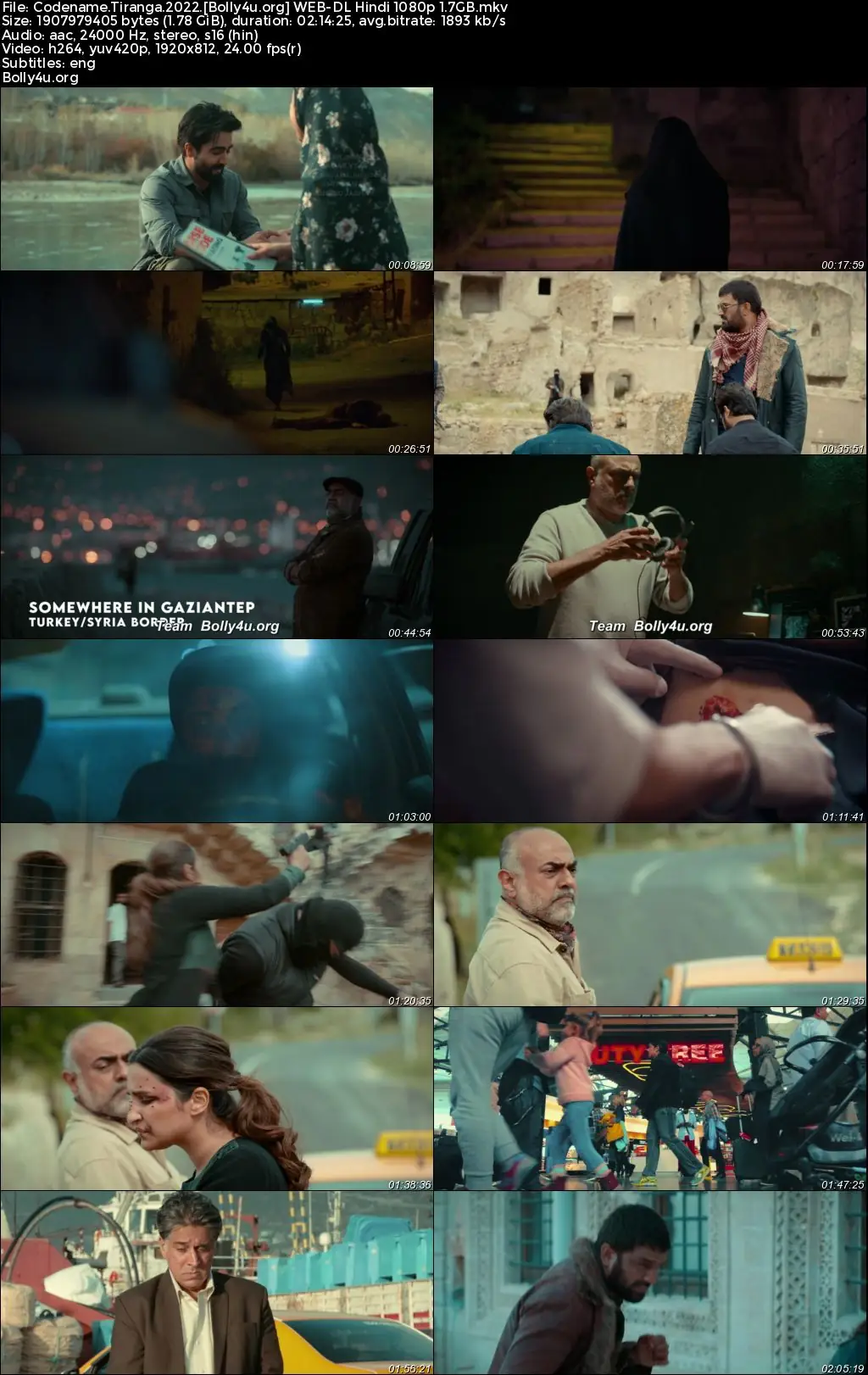 Code Name Tiranga 2022 WEB-DL Hindi Full Movie Download 1080p  720p  480p